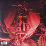 Alice In Chains – Jar Of Flies
