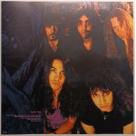 Psychotic Waltz – Into The Everflow (LP) Coloured Red