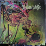 Psychotic Waltz – Mosquito (LP) Coloured Green
