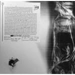 Velvet Revolver – Contraband (2 LP)