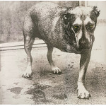 Alice In Chains – Alice In Chains (2 LP) 2026 Europe (Coloured Vinyl) 