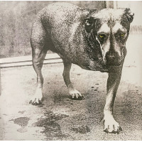 Alice In Chains – Alice In Chains (2 LP) 2026 Europe (Coloured Vinyl) Alice In Chains – Alice In Chains (2 LP) 2026 Europe (Coloured Vinyl)