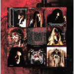 Arch Enemy – Wages Of Sin (LP)