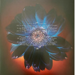 Rammstein – Herzeleid (2 LP)