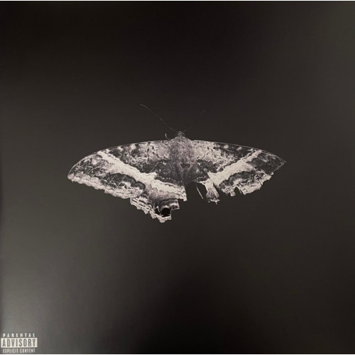 Kendrick Lamar – To Pimp A Butterfly (2 LP) 10th Anniversary