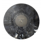 Kendrick Lamar – To Pimp A Butterfly (2 LP) 10th Anniversary