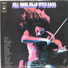 Various – Fill Your Head With Rock (2 LP) 1970 Hollanda Baskı