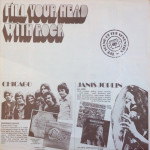 Various – Fill Your Head With Rock (2 LP) 1970 Hollanda Baskı