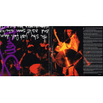 Jimi Hendrix – First Rays Of The New Rising Sun (2 LP) 