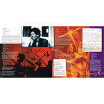 Jimi Hendrix – First Rays Of The New Rising Sun (2 LP) 