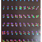 Muse – The 2nd Law (2 LP)