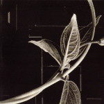 R.E.M. – Out Of Time (2 CD Box Set)