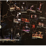 Andrew Lloyd Webber – Cats Live - Deutsche Gesamtaufnahme Aus Dem Hamburger Operettenhaus (2 LP)