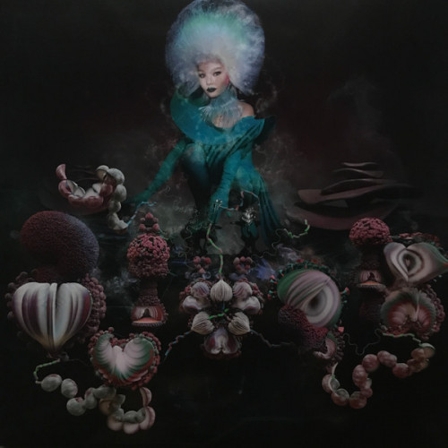 Björk – Fossora Björk – Fossora