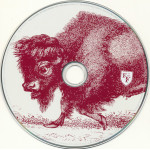 Foo Fighters – In Your Honor (CD)