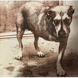 Alice In Chains - Alice In Chains (2 LP) Coloured Transparent Green 