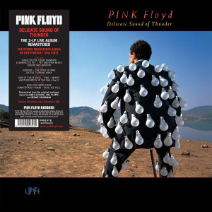 Pink Floyd – Delicate Sound Of Thunder (2 X LP) 2017 Europe, SIFIR
