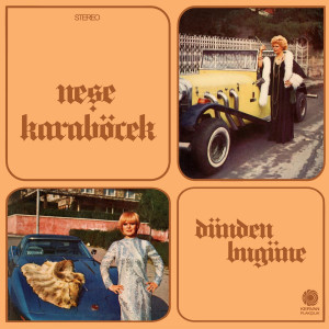 Neşe Karaböcek - Dünden Bugüne (Plak) SIFIR Neşe Karaböcek - Dünden Bugüne (Plak) SIFIR